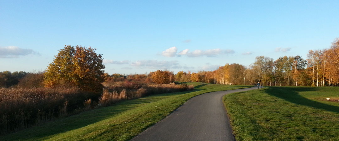 Wege gehen